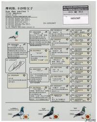 gѪy(tng)