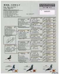 gѪy(tng)