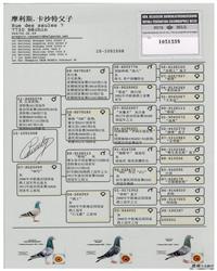 gѪy(tng)