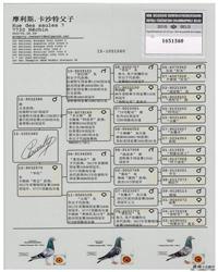 gѪy(tng)