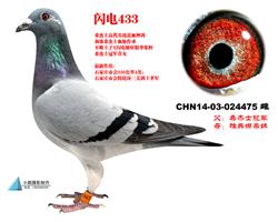 ĸW475