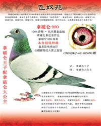 ĸƁ990