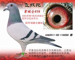 ĸƁ898ʼKI(lng)