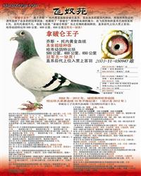 游Ɓ