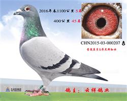 Hǧ5