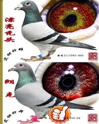 Ѫy(tng)