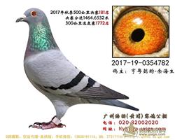 ֱ