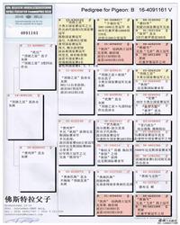 gѪy(tng)