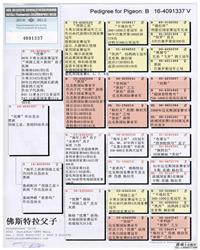 gѪy(tng)