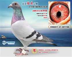 2017걱يW飩Qِ30