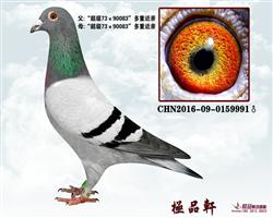73ϵ