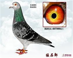 ϵ