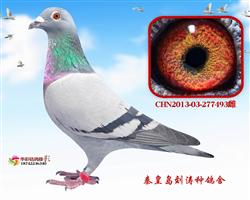 Ӣ493