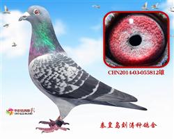 Ӣ812