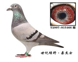 ĸHʺ̖