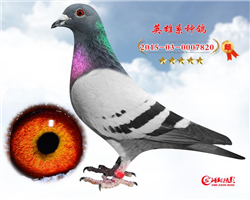 Ӣ820