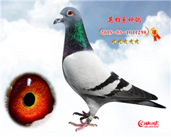Ӣ298