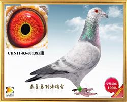 Ӣ385