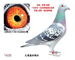 罗森-波斯"闪电号"直子