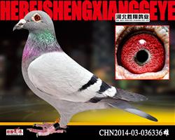 CHN2014-03-036336