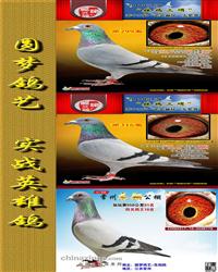 Ѫy(tng)