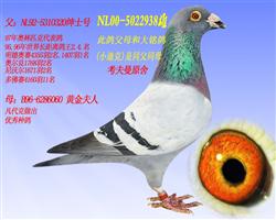 Ѫy(tng)