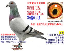 Ѫy(tng)
