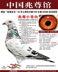 游