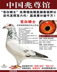 游\游
