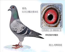 xֱŮ12tӹQِ30