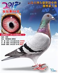 ֱO576