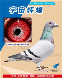 �ӱ�Ӱҕِ������Qِ88��