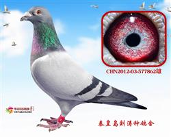 Ӣ862