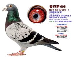 ���롰����695��
