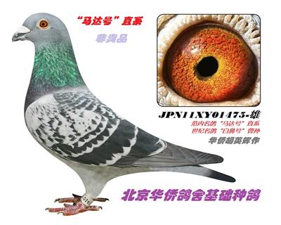 �������ղɭ019����Ů����ղɭ513��