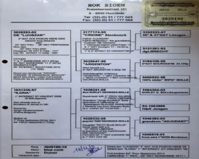 中长距离大师 路克.西翁