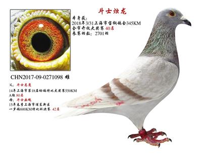 ��ʿ����