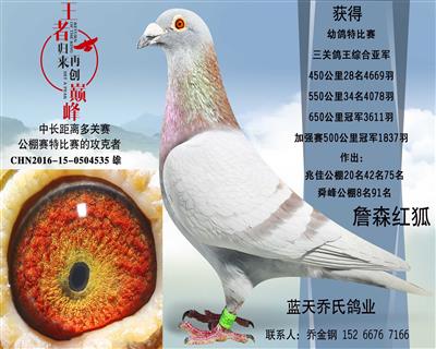 蓝天乔氏鸽业 - 中信网铭鸽展厅 www.ag188.com