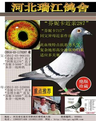 芬尼卡0287        美国余柏华之芬尼卡5000    浏览量:302 次