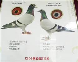 KBDB�ھ�����