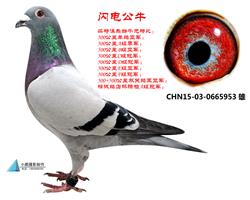W늹ţ