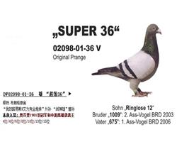 游