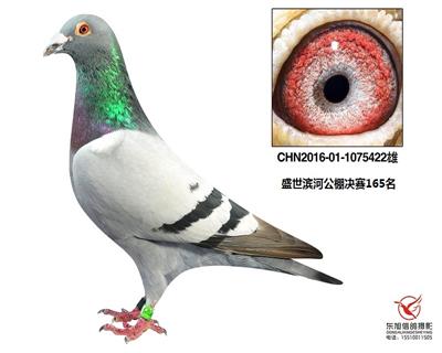 2016ʢӹ165