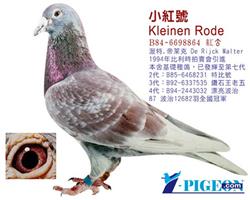 游