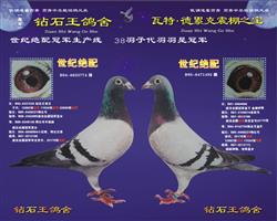 游ĸ