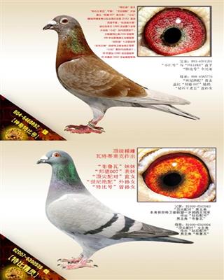 Ѫy(tng)