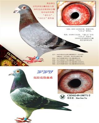 Ѫy(tng)