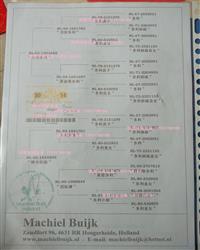 米歇尔.贝克原舍.咪
