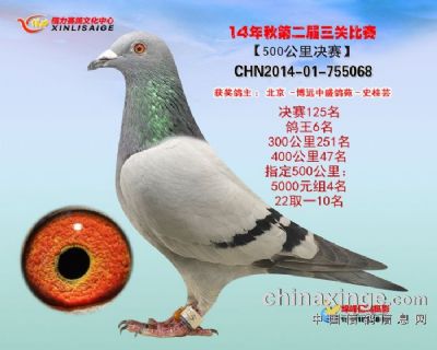 ���P(gu��n)��������