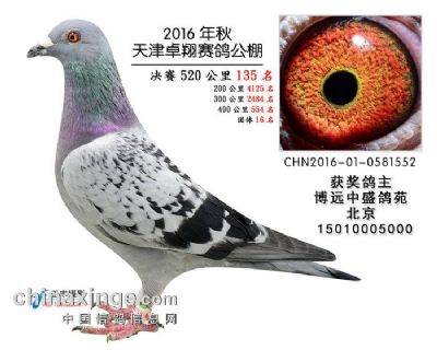 2016�����׿�蹫��135��